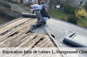 Réparation fuite de toiture  l-abergement-clemenciat-01400 