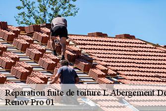 Réparation fuite de toiture  l-abergement-de-varey-01640 Renov Pro 01