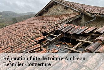 Réparation fuite de toiture  ambleon-01300 Beaudier Couverture 