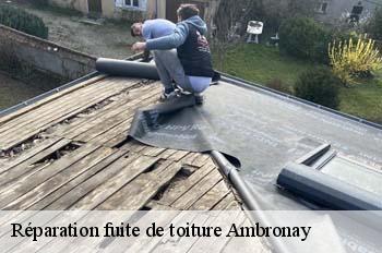 Réparation fuite de toiture  ambronay-01500 