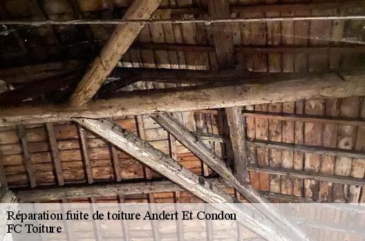 Réparation fuite de toiture  andert-et-condon-01300 