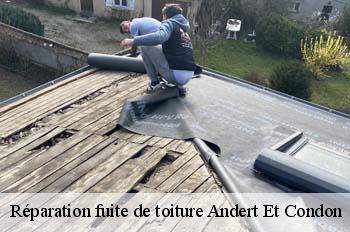 Réparation fuite de toiture  andert-et-condon-01300 