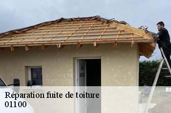 Réparation fuite de toiture  arbent-01100 