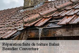 Réparation fuite de toiture  balan-01360 Beaudier Couverture 