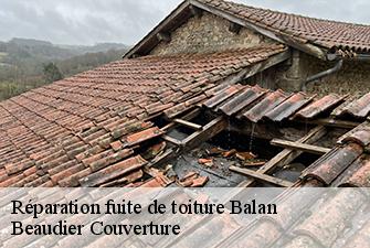 Réparation fuite de toiture  balan-01360 Beaudier Couverture 