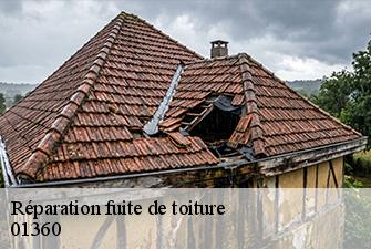 Réparation fuite de toiture  balan-01360 Beaudier Couverture 
