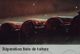 Réparation fuite de toiture  balan-01360 Beaudier Couverture 