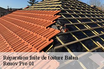 Réparation fuite de toiture  balan-01360 Renov Pro 01