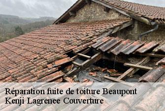 Réparation fuite de toiture beaupont-01270 Kenji Lagrenee Couverture