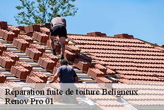 Réparation fuite de toiture  beligneux-01360 Renov Pro 01