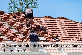 Réparation fuite de toiture  bellegarde-sur-valserine-01200 Renov Pro 01