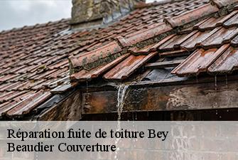 Réparation fuite de toiture  bey-01290 Beaudier Couverture 