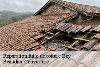 Réparation fuite de toiture  bey-01290 Beaudier Couverture 