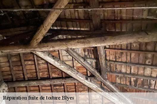 Réparation fuite de toiture  blyes-01150 