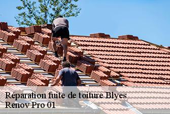 Réparation fuite de toiture  blyes-01150 Renov Pro 01