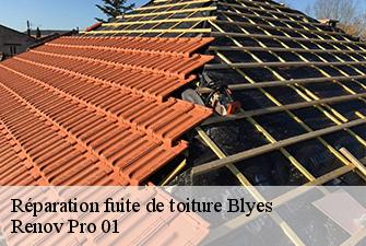 Réparation fuite de toiture  blyes-01150 Renov Pro 01