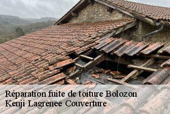 Réparation fuite de toiture bolozon-01450 Kenji Lagrenee Couverture