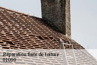 Réparation fuite de toiture bourg-en-bresse-01000 Kenji Lagrenee Couverture