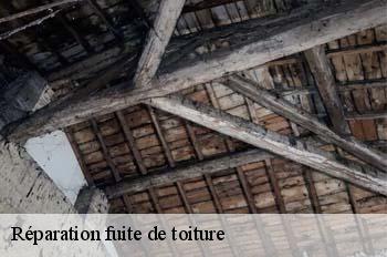 Réparation fuite de toiture  boyeux-saint-jerome-01640 