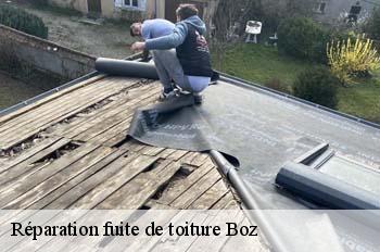 Réparation fuite de toiture  boz-01190 