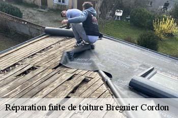 Réparation fuite de toiture  bregnier-cordon-01300 