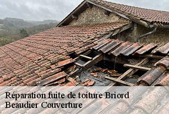 Réparation fuite de toiture  briord-01470 Beaudier Couverture 