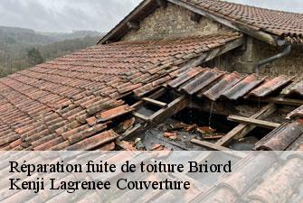 Réparation fuite de toiture briord-01470 Kenji Lagrenee Couverture