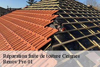 Réparation fuite de toiture  ceignes-01430 Renov Pro 01