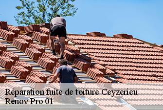Réparation fuite de toiture  ceyzerieu-01350 Renov Pro 01