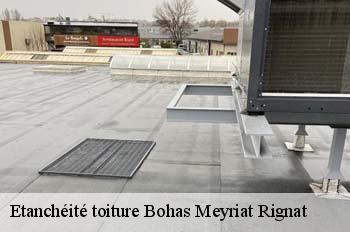 Etanchéité toiture  bohas-meyriat-rignat-01250 