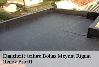 Etanchéité toiture  bohas-meyriat-rignat-01250 Renov Pro 01