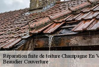 Réparation fuite de toiture  champagne-en-valromey-01260 Beaudier Couverture 