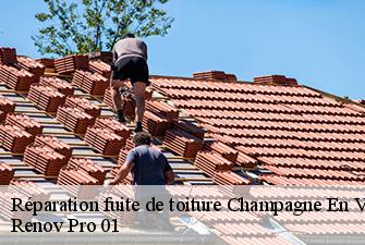Réparation fuite de toiture  champagne-en-valromey-01260 Renov Pro 01