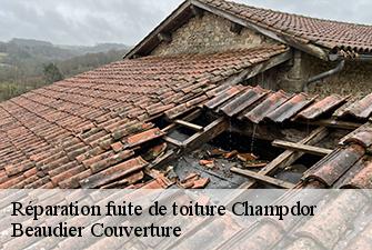 Réparation fuite de toiture  champdor-01110 Beaudier Couverture 