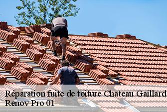 Réparation fuite de toiture  chateau-gaillard-01500 Renov Pro 01