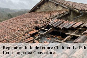 Réparation fuite de toiture chatillon-la-palud-01320 Kenji Lagrenee Couverture