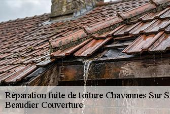 Réparation fuite de toiture  chavannes-sur-suran-01250 Beaudier Couverture 