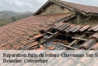 Réparation fuite de toiture  chavannes-sur-suran-01250 Beaudier Couverture 