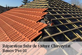 Réparation fuite de toiture  chaveyriat-01660 Renov Pro 01
