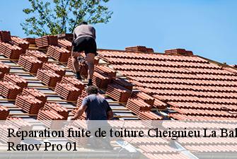 Réparation fuite de toiture  cheignieu-la-balme-01510 Renov Pro 01