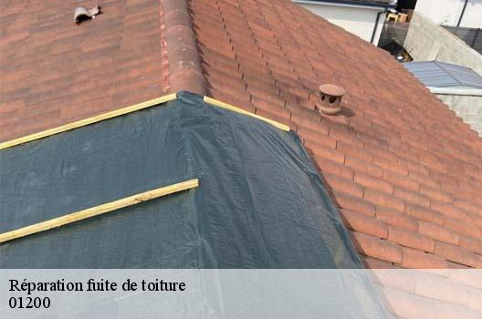 Réparation fuite de toiture  chezery-forens-01200 