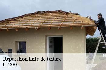 Réparation fuite de toiture  chezery-forens-01200 