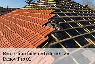 Réparation fuite de toiture  cize-01250 Renov Pro 01