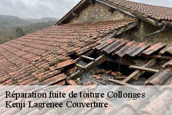 Réparation fuite de toiture collonges-01550 Kenji Lagrenee Couverture