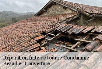 Réparation fuite de toiture  condamine-01430 Beaudier Couverture 