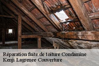 Réparation fuite de toiture  condamine-01430 Kenji Lagrenee Couverture