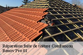 Réparation fuite de toiture  confrancon-01310 Renov Pro 01