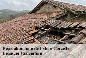 Réparation fuite de toiture  corcelles-01110 Beaudier Couverture 
