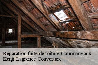 Réparation fuite de toiture  courmangoux-01370 Kenji Lagrenee Couverture