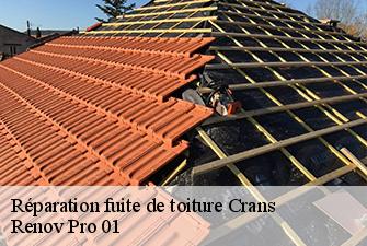 Réparation fuite de toiture  crans-01320 Renov Pro 01